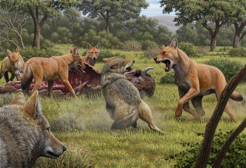 Reviva espécies extintas com Lobo Terrível!