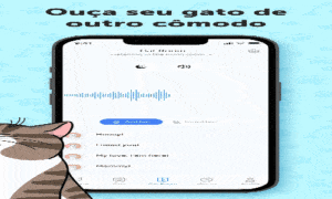 Descubra a linguagem secreta dos gatos