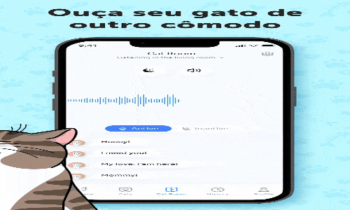 Descubra a linguagem secreta dos gatos