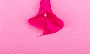 Pompoarismo em casa: Aperta & Solta no celular!