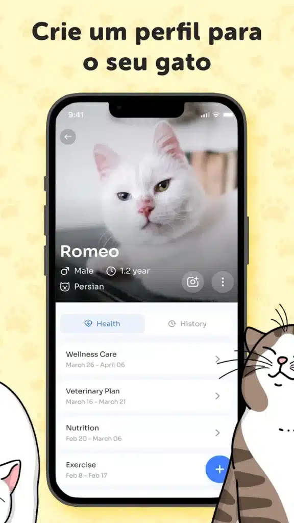 Descubra a linguagem secreta dos gatos