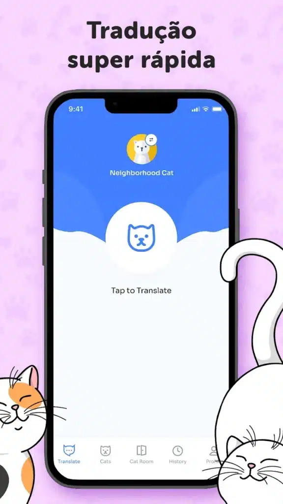 Descubra a linguagem secreta dos gatos