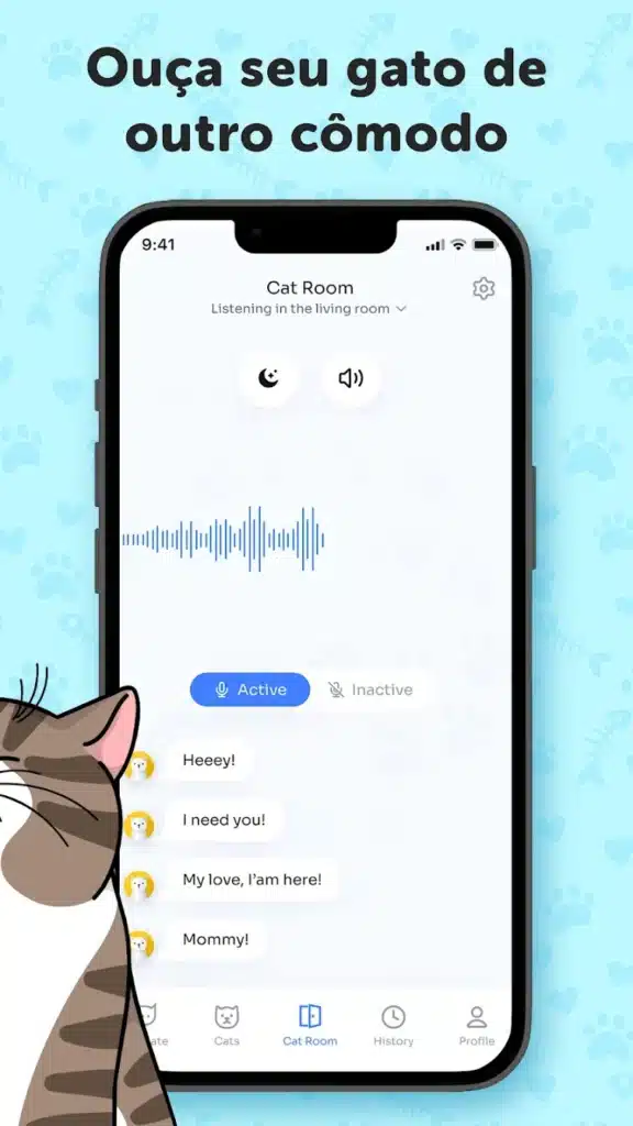 Descubra a linguagem secreta dos gatos