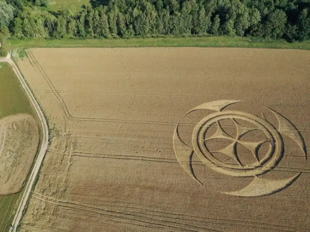 Mistérios Revelados: Enigmas dos Crop Circles