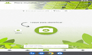 Aprenda a Usar PlantNet em 2 Minutos
