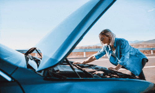 Analise seu carro em 30 segundos