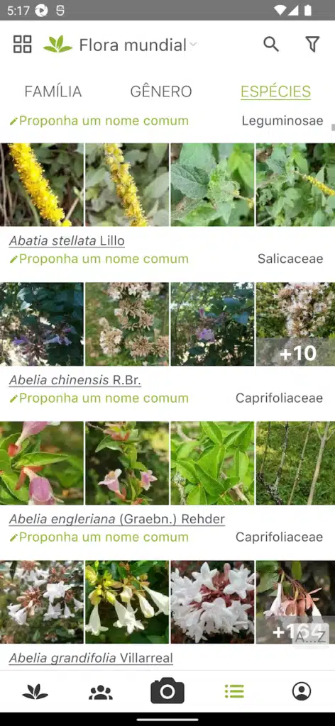 Encontre 10 Plantas Exóticas Raras Agora