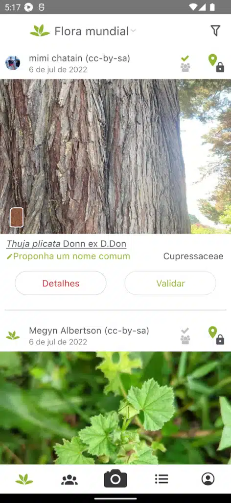 Encontre 10 Plantas Exóticas Raras Agora