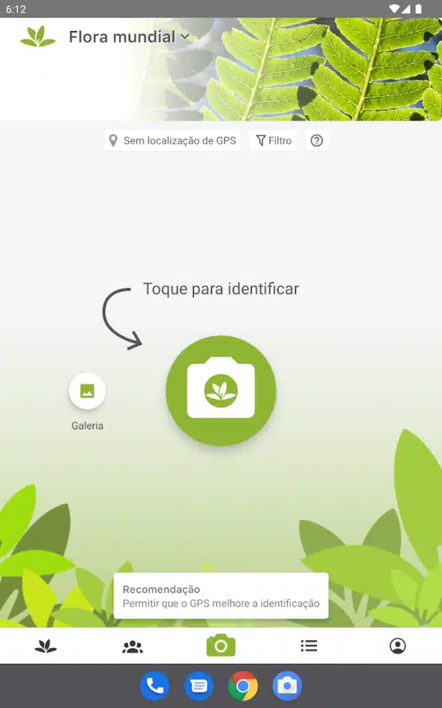 Encontre 10 Plantas Exóticas Raras Agora