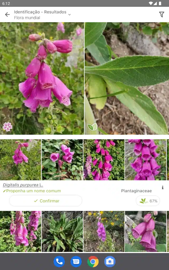 Aprenda a Usar PlantNet em 2 Minutos