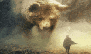 Descubra Seu Animal Interior Já!