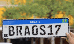 Segredos da Placa do Carro