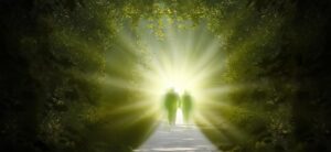 Descubra Suas Vidas Passadas Agora!