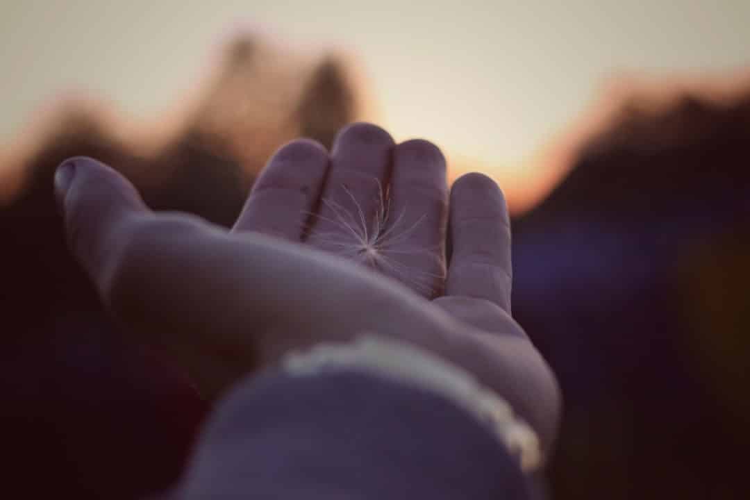 Significado das Linhas da Mão: Guia Prático e Claro